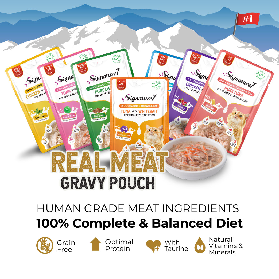 Signature7 Mackerel in Gravy (Healthy Bones – Friday) 50g