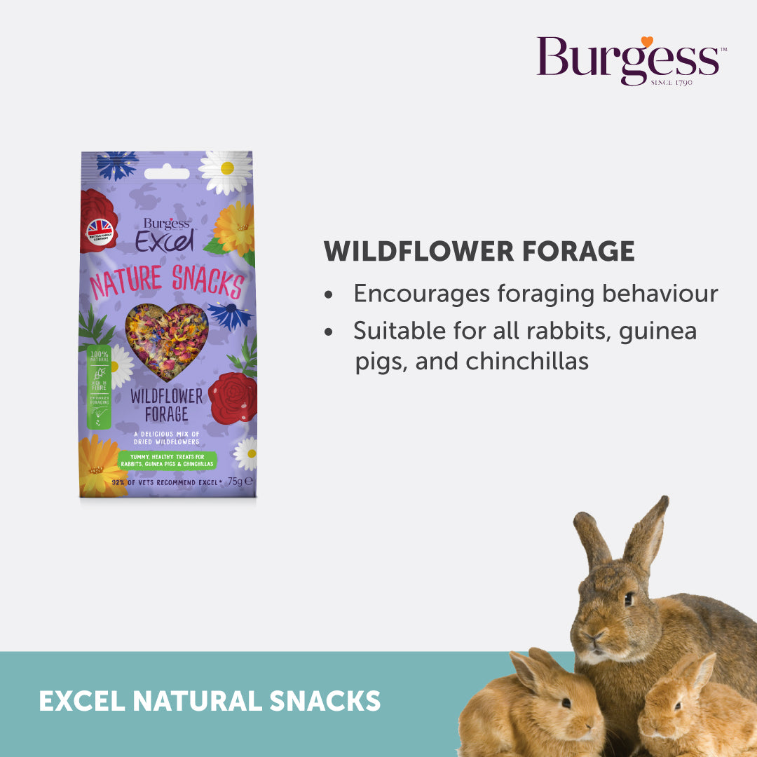Burgess Excel Wildflower Forage – 75g
