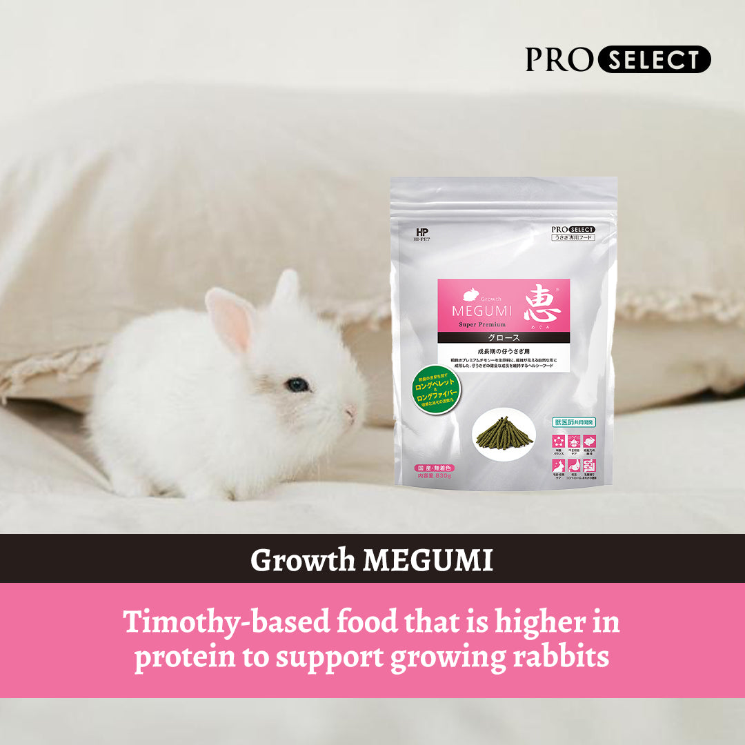 Hi‑Pet Timothy MEGUMI Growth 830 g – Premium Growth Support Hay for Rabbits & Small Pets