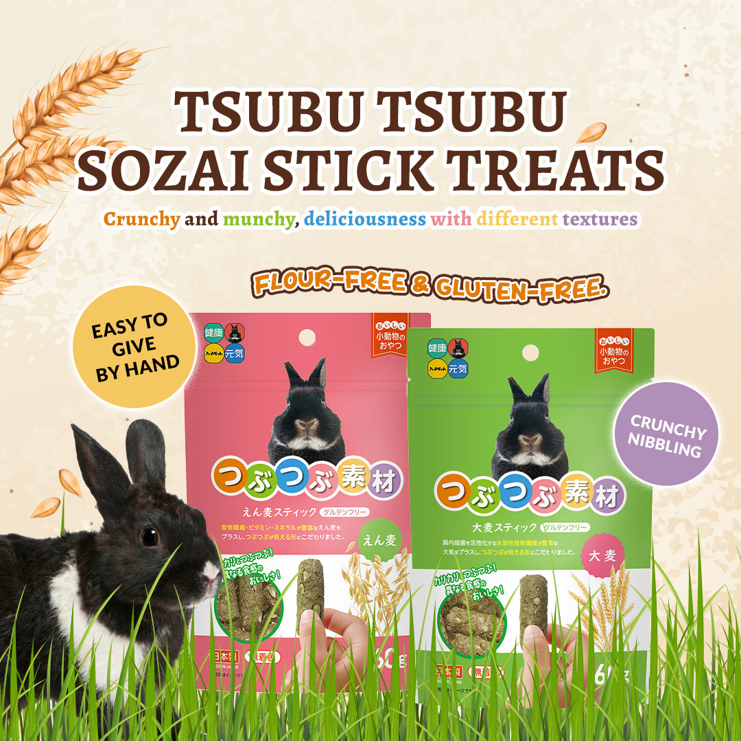 Hi-Pet Tsubu Tsubu Sozai Oat Stick Treats for Rabbits & Small Pets โ 60g