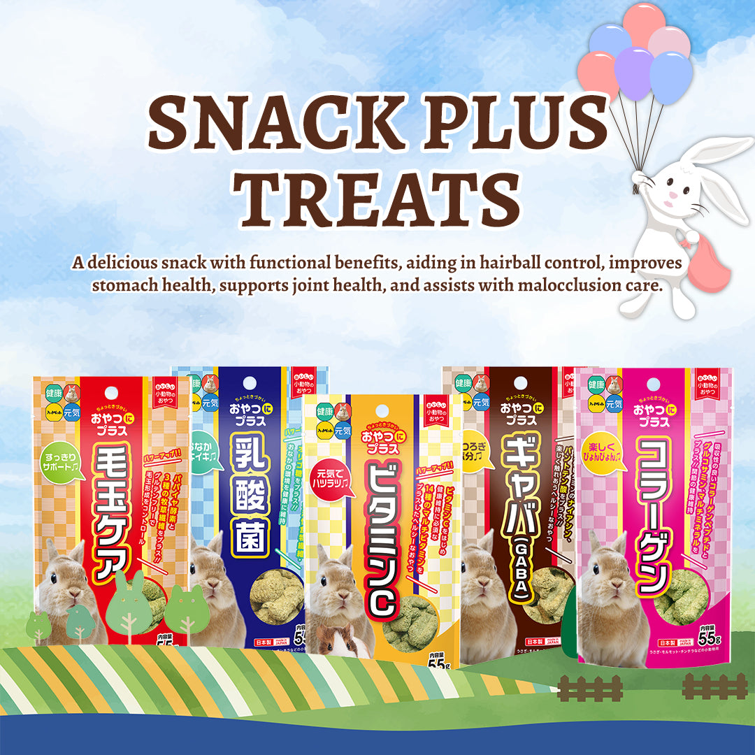 Hi-Pet Snack Plus GABA Treats for Rabbits & Small Pets – 55g
