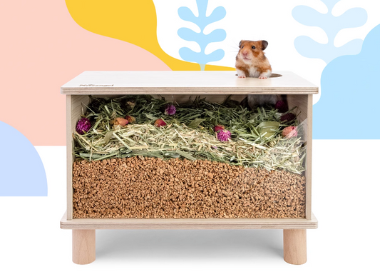 NiteAngel Visible Digging Box – Natural Enrichment for Rats & Hamsters