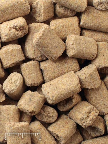 Mazuri Rat & Mouse Diet – Complete Nutrition for Rodents Lab Block