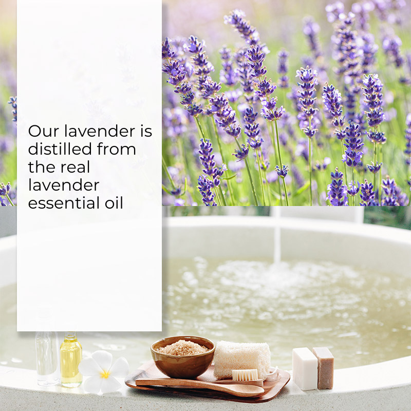 IDoCare Lavender Fields Concentrated Laundry Powder – Pet-Safe & Eco-Friendly