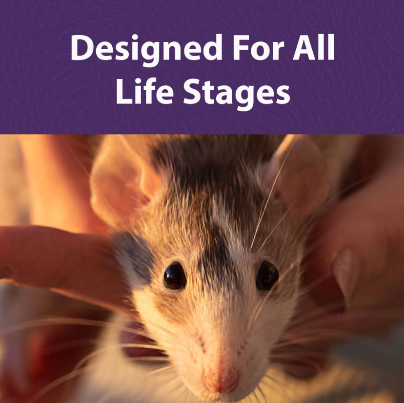 Mazuri Rat & Mouse Diet – Complete Nutrition for Rodents Lab Block