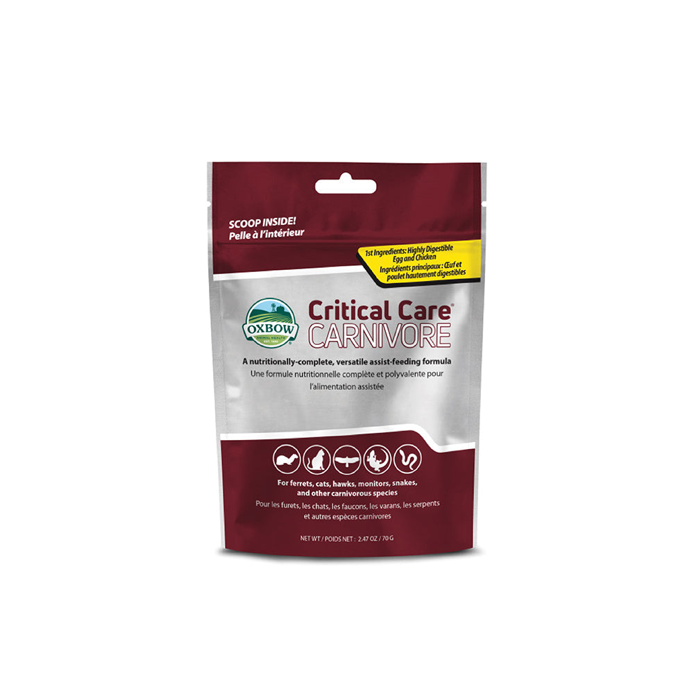 Oxbow Critical Care Carnivore | Recovery Food for Meat-Eating Small Pets
