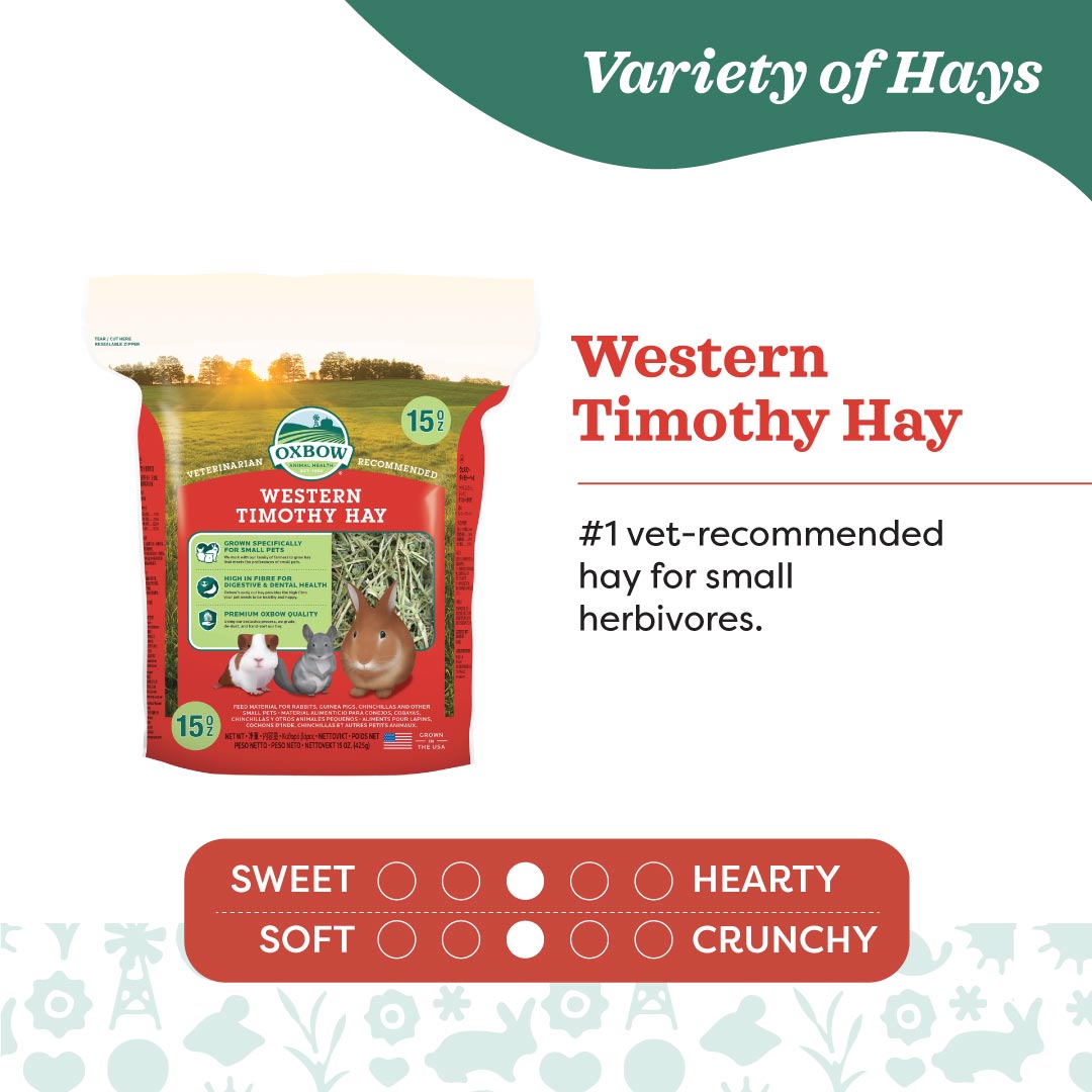 Oxbow Western Timothy Hay for Small Animals