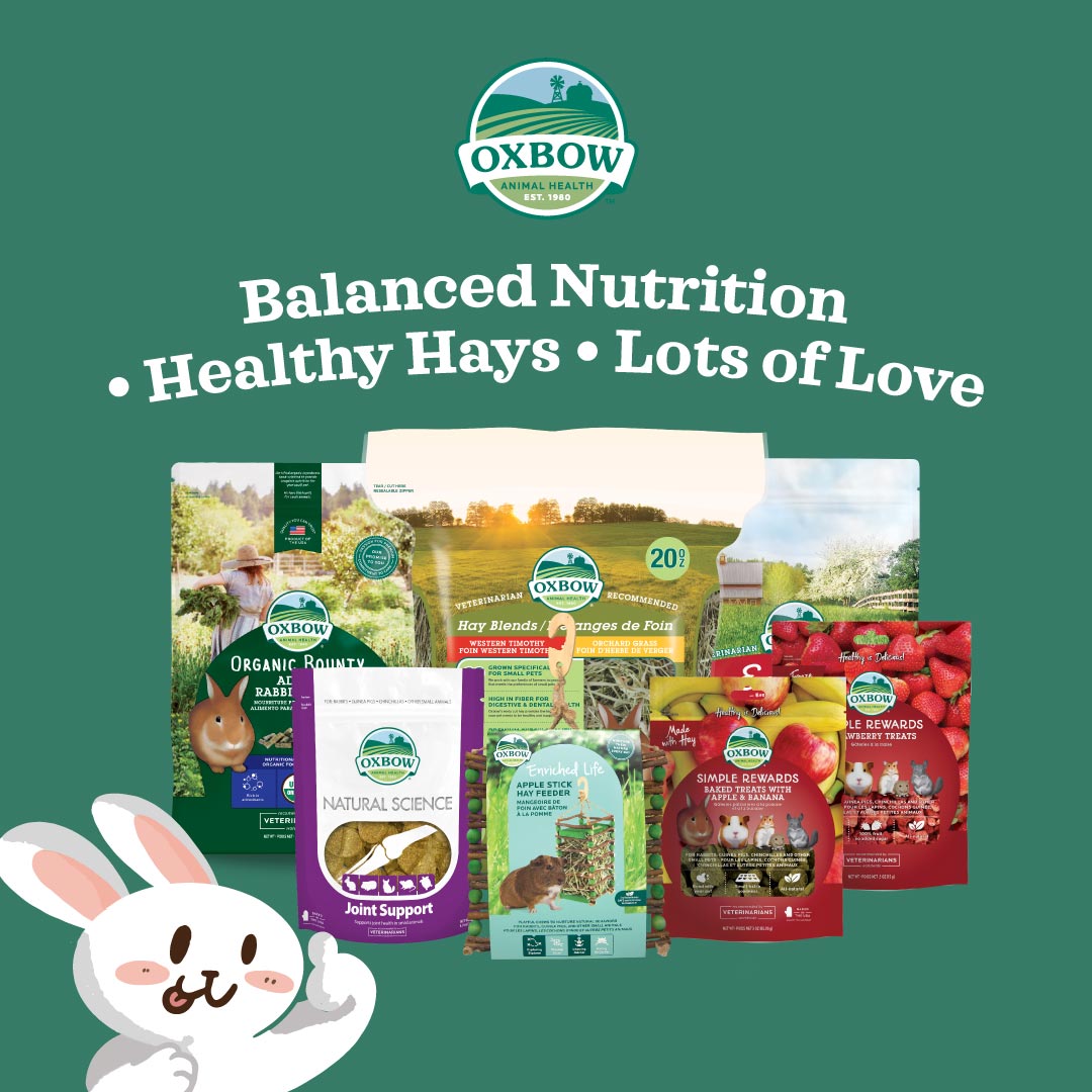 Oxbow Simple Rewards Baked Treats with Peppermint for Small Pets