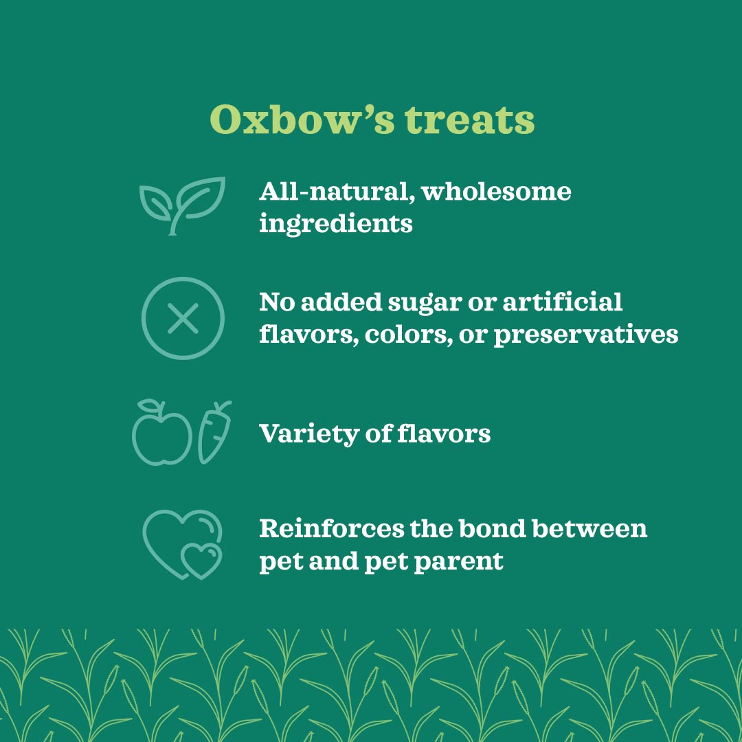 Oxbow Simple Rewards Baked Treats with Bell Pepper for Small Pets