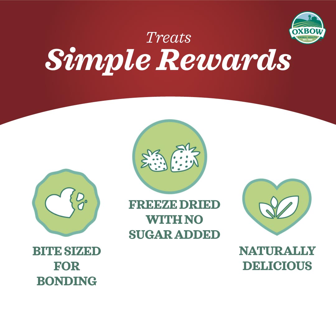 Oxbow Simple Rewards Veggie Treats for Small Pets