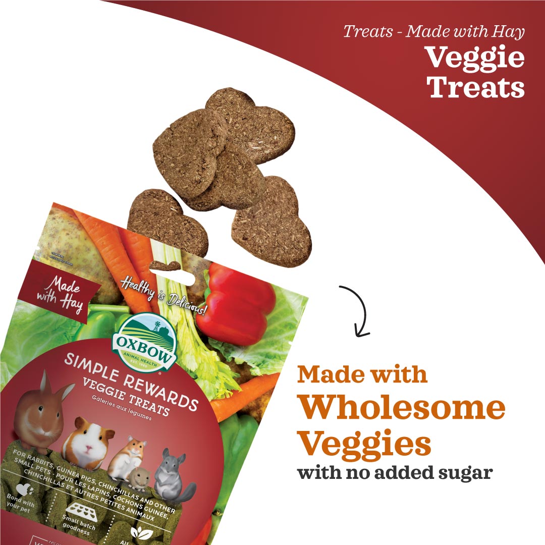 Oxbow Simple Rewards Veggie Treats for Small Pets