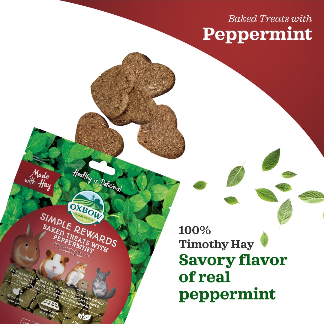 Oxbow Simple Rewards Baked Treats with Peppermint for Small Pets