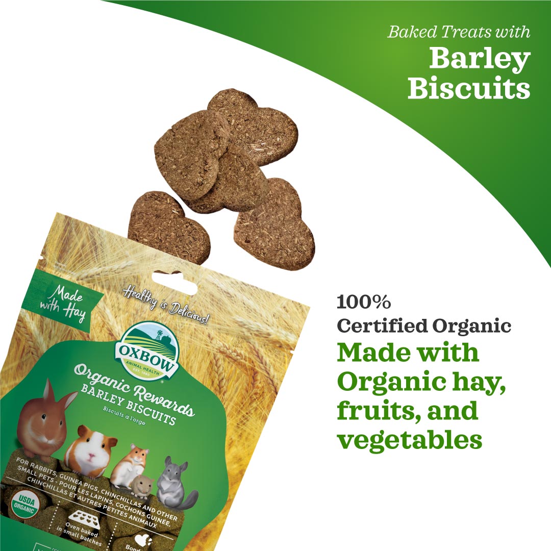 Oxbow Organic Barley Biscuits for Small Pets