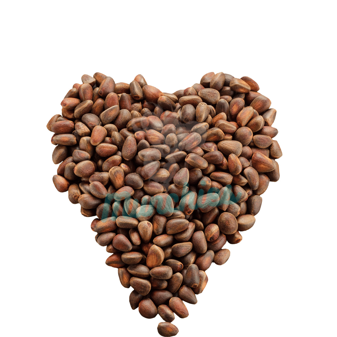 Munchies Premium Raw Pine Nuts – Human Grade Treat