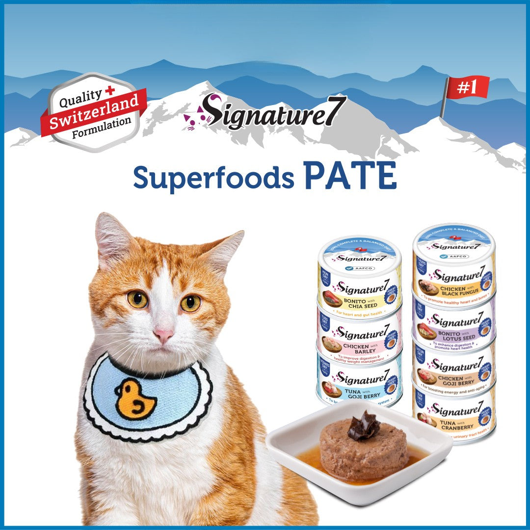 Signature7 Superfoods Chicken & Black Fungus Cat Pate (Thursday) 80g