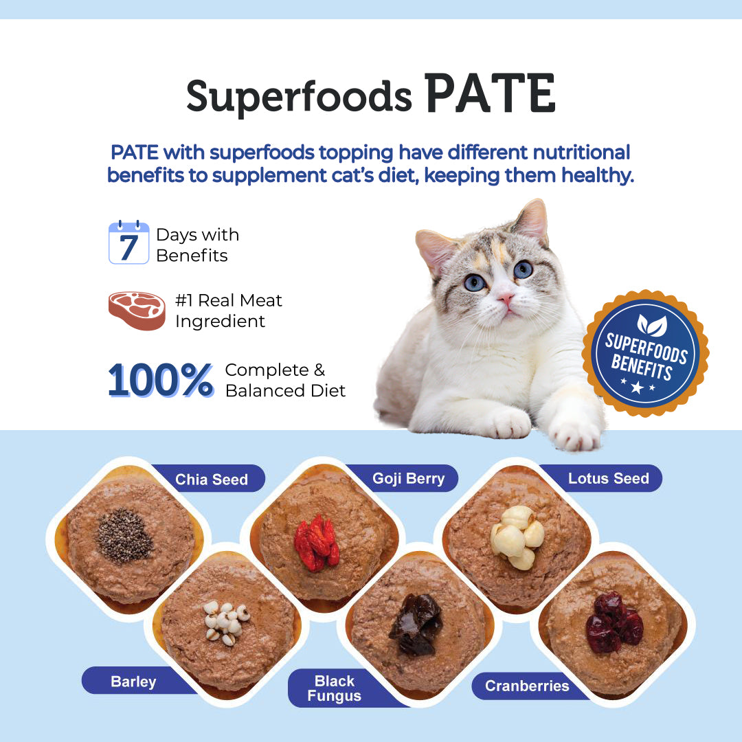 Signature7 Superfoods Chicken & Black Fungus Cat Pate (Thursday) 80g