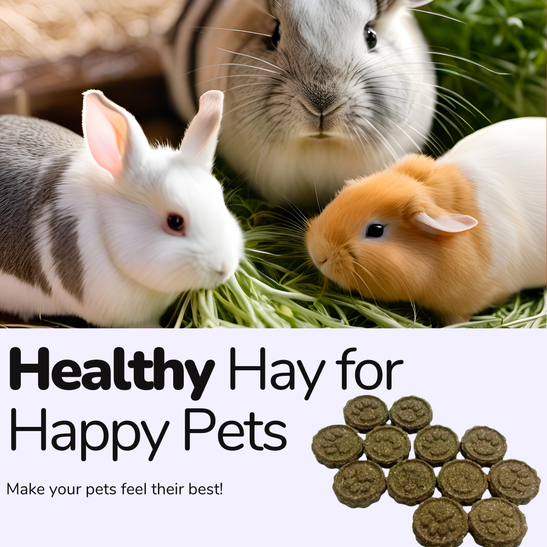 Munchies Paw Print Timothy Hay Cake (10pcs, 135g)