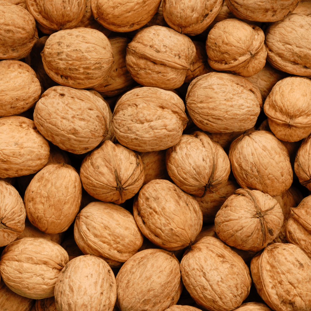 Munchies Raw Shelled Walnut 200g – Human Grade Enrichment Treat
