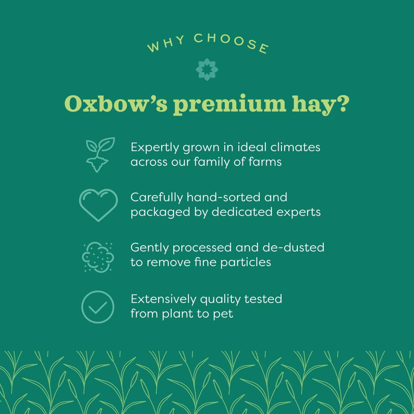 Oxbow Prime Cut Soft & Lush Hay for Small Pets