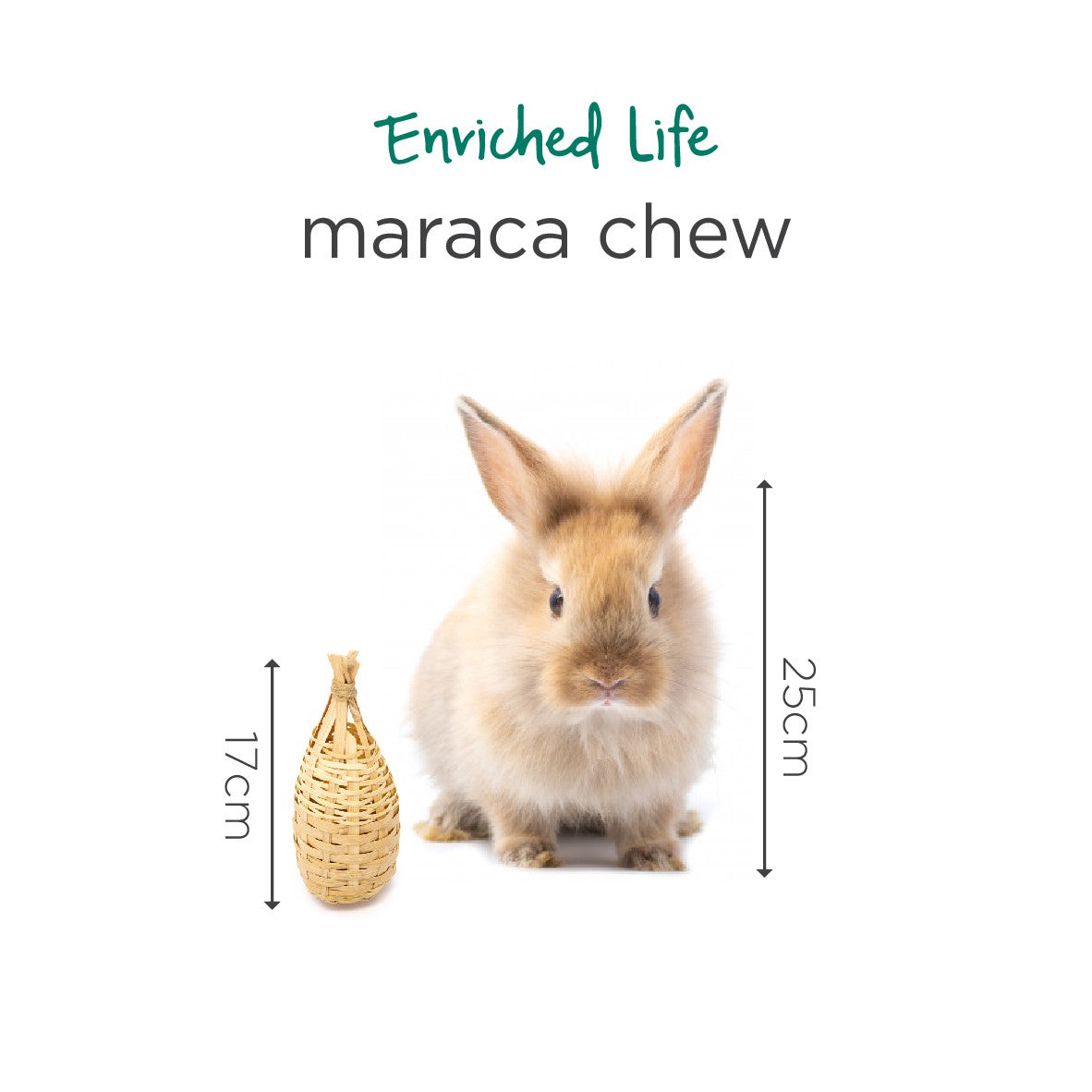Oxbow Enriched Life Maraca Chew for Small Pets