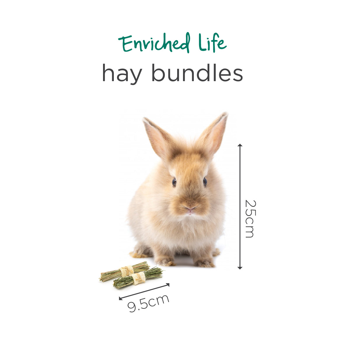 Oxbow Enriched Life Hay Bundles for Small Pets