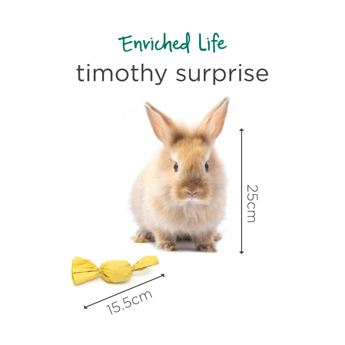 Oxbow Enriched Life Timothy Surprise for Small Pets