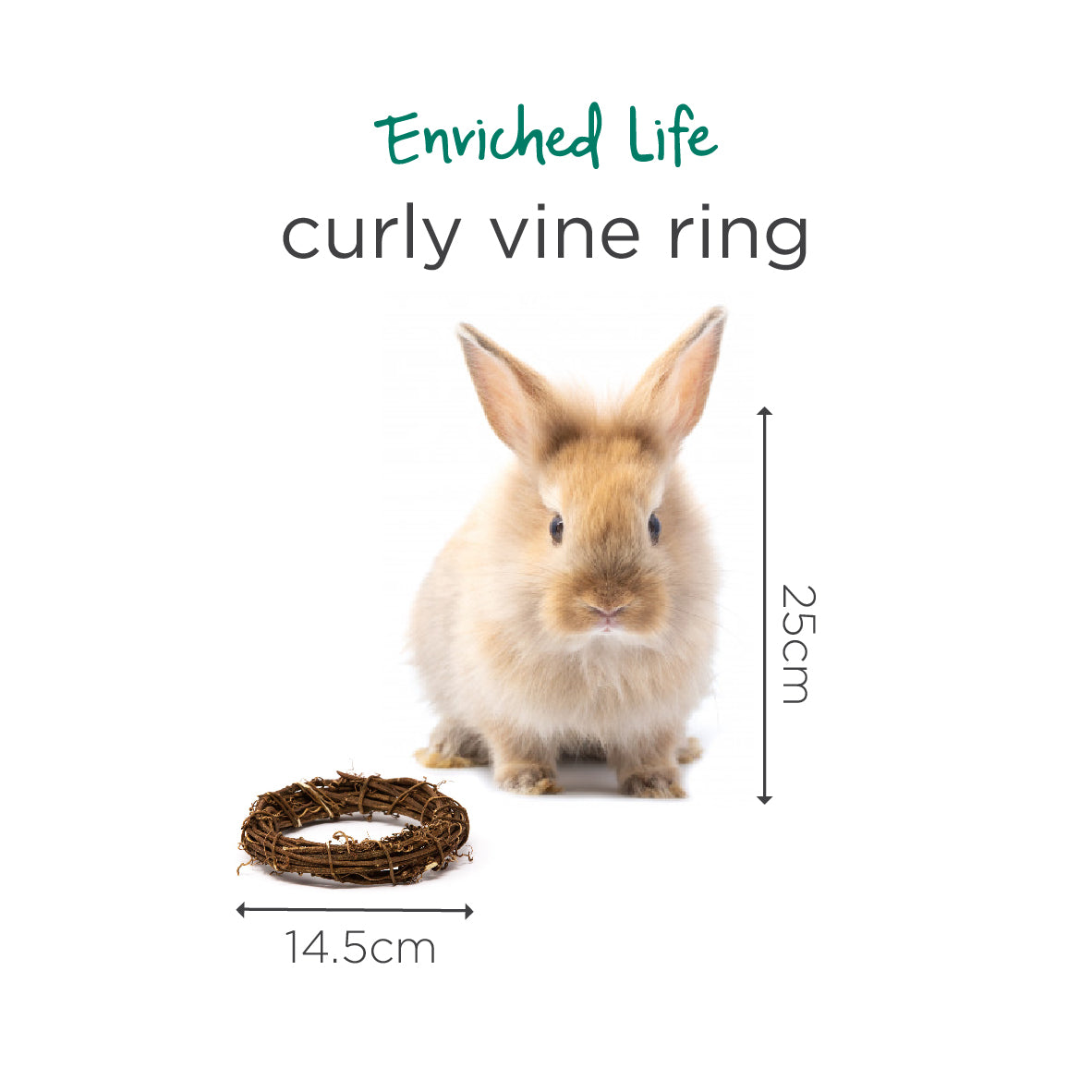 Oxbow Enriched Life Curly Vine Ring for Small Pets