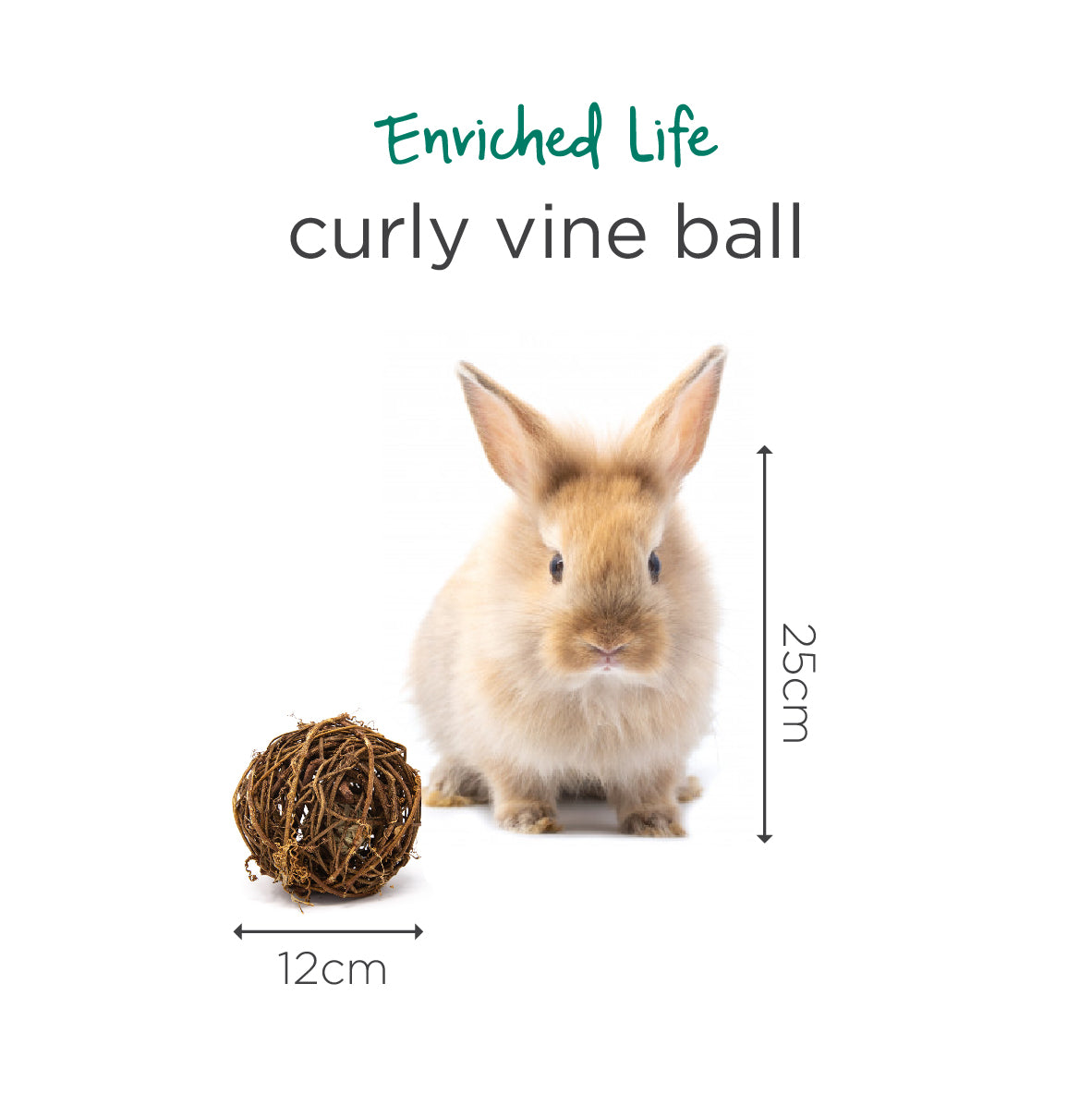 Oxbow Enriched Life Curly Vine Ball for Small Pets