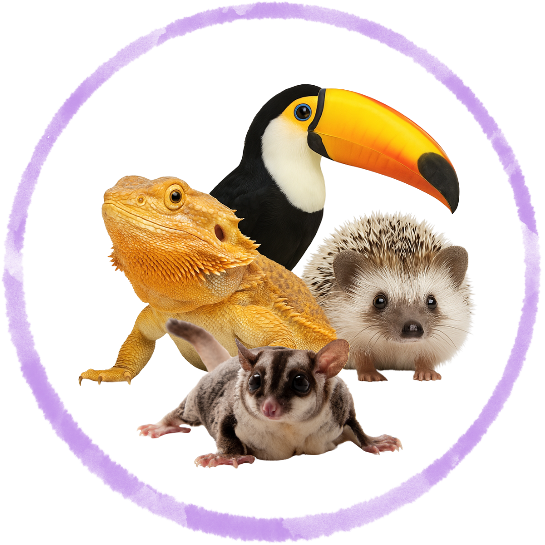 Exotic Pets