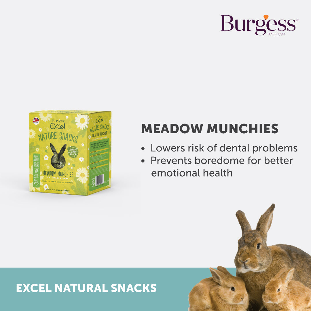 Burgess Excel Meadow Munchies – 1kg