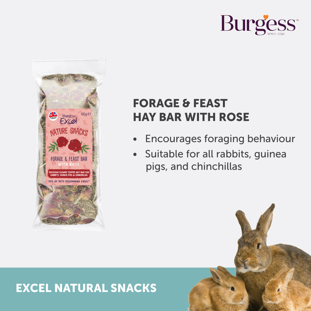 [Any 4 for $19.80] Burgess Excel Hay Bar with Rose 60g