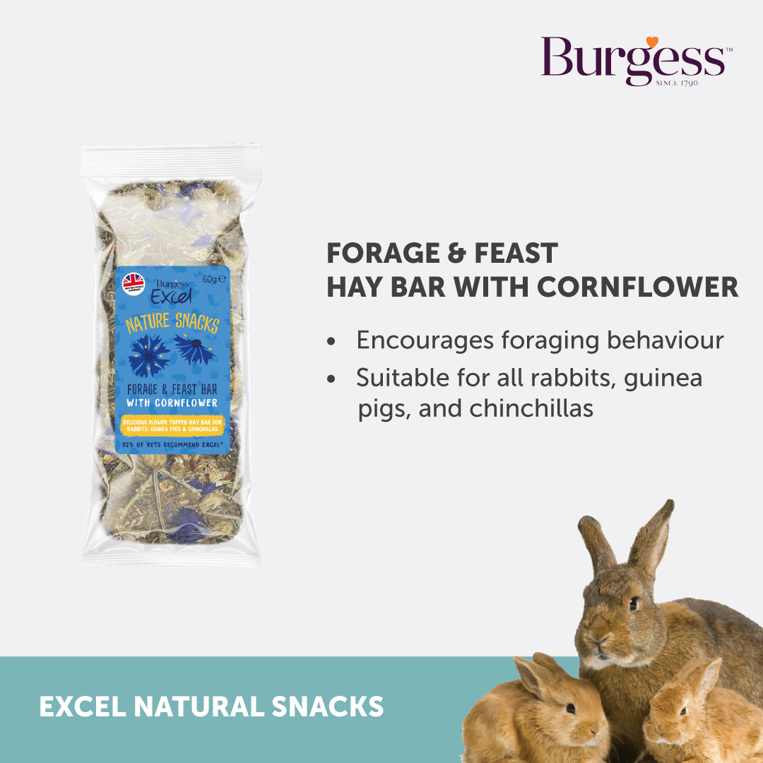 [Any 4 for $19.80] Burgess Excel Forage Feast Hay Bar with Cornflower
