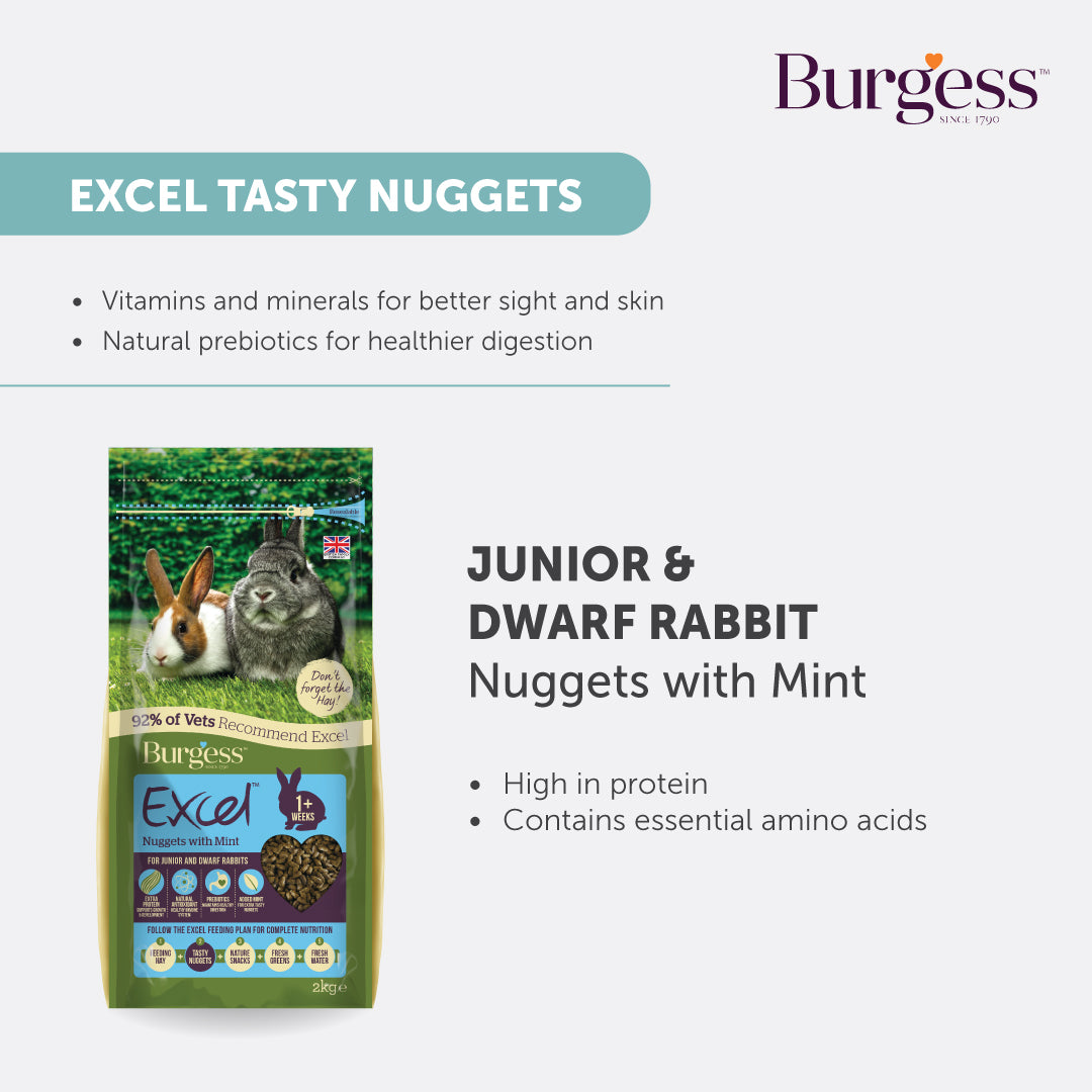 [Buy 2nd Bag @ 30% off] Burgess Excel Junior & Dwarf Rabbit Nuggets with Mint – 1.5kg