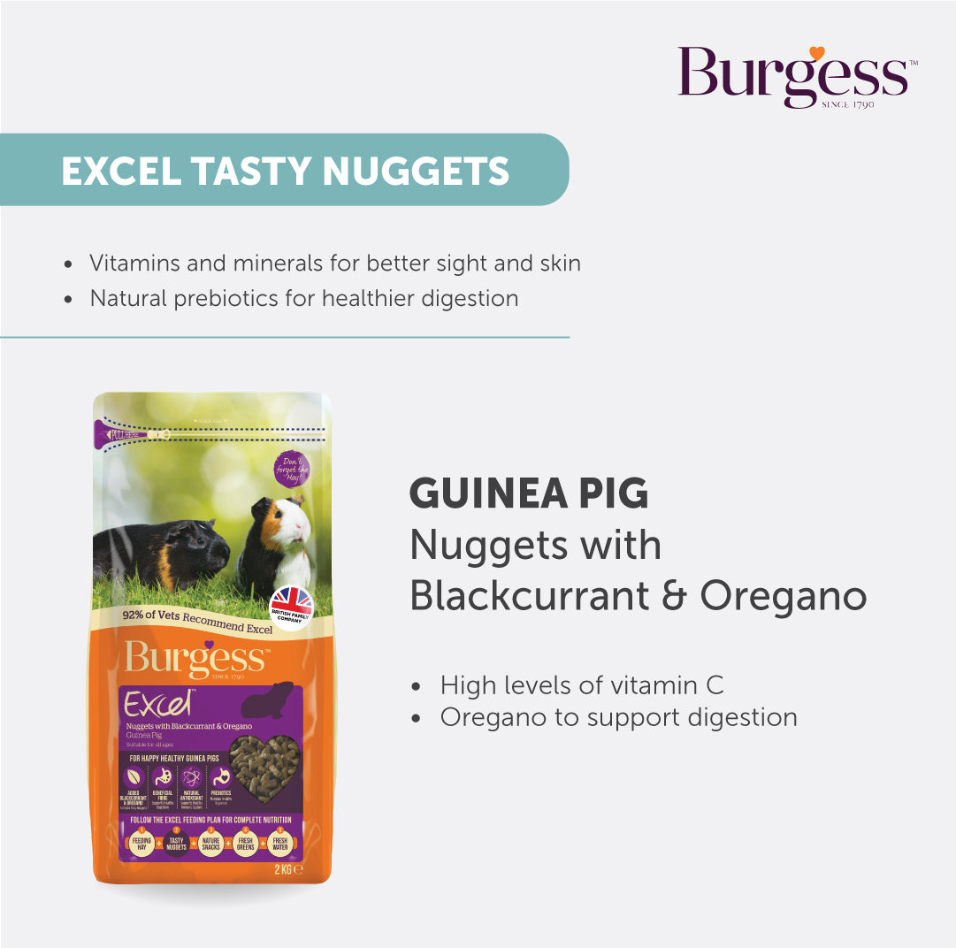 [Buy 2nd Bag @ 30% off] Burgess Excel Guinea Pig Nuggets with Blackcurrant & Oregano – 1.5kg