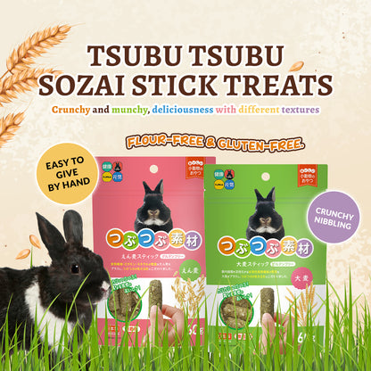 Hi-Pet Tsubu Tsubu Sozai Oat Stick Treats for Rabbits & Small Pets – 60g
