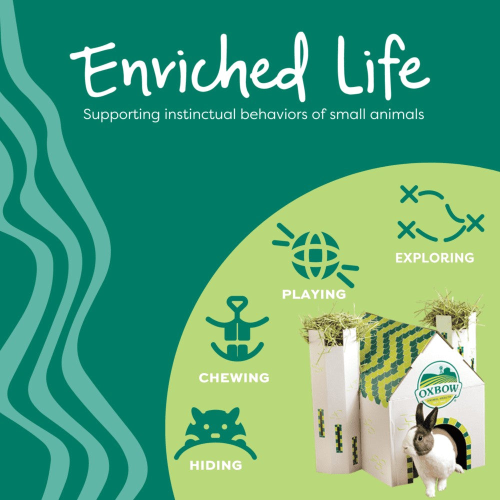 Oxbow Enriched Life Timothy Flowers for Small Pets