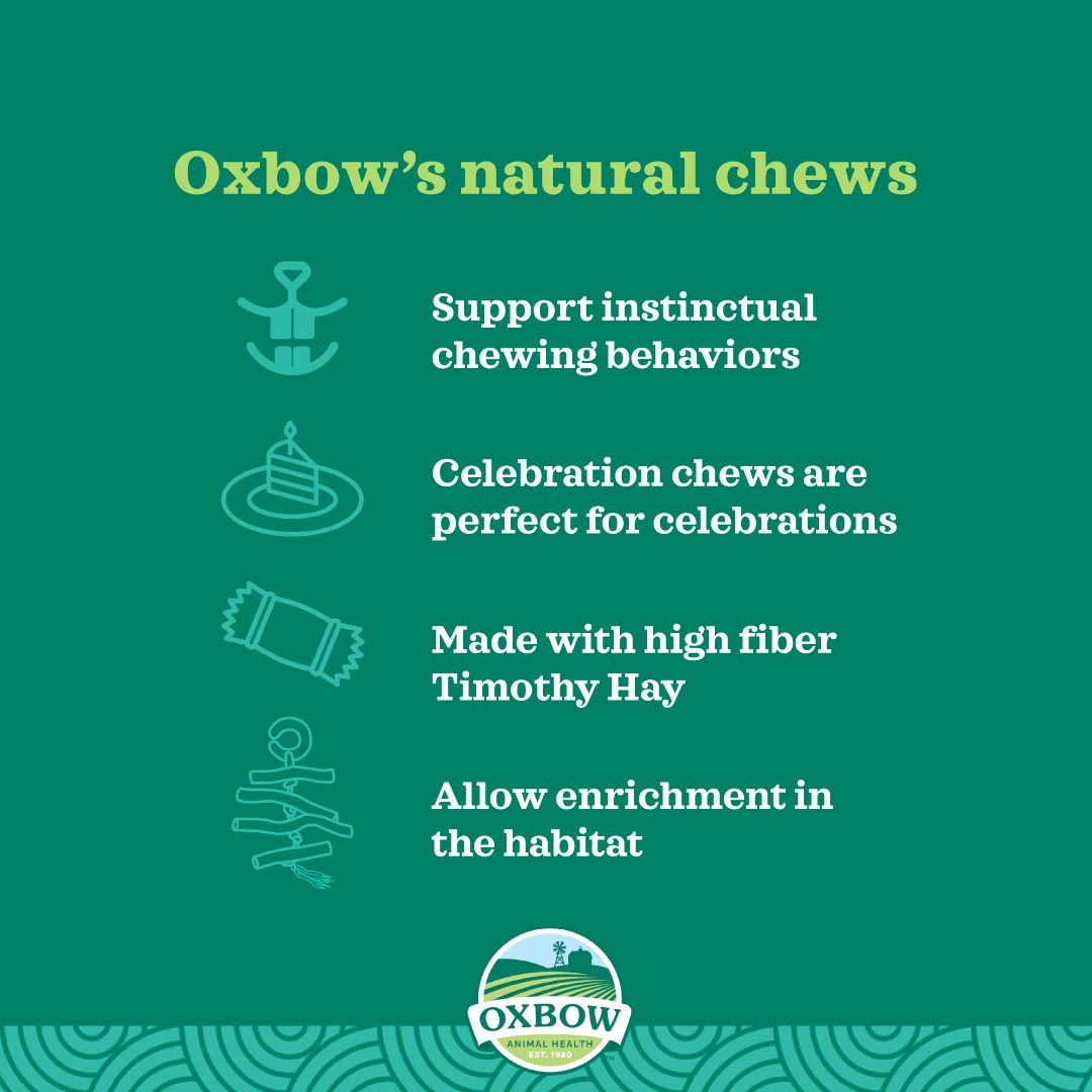 Oxbow Timothy Club Timothy Carrot for Small Pets