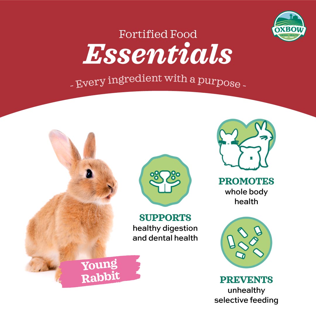 [Up to 25% off] Oxbow Essentials Young Rabbit Food