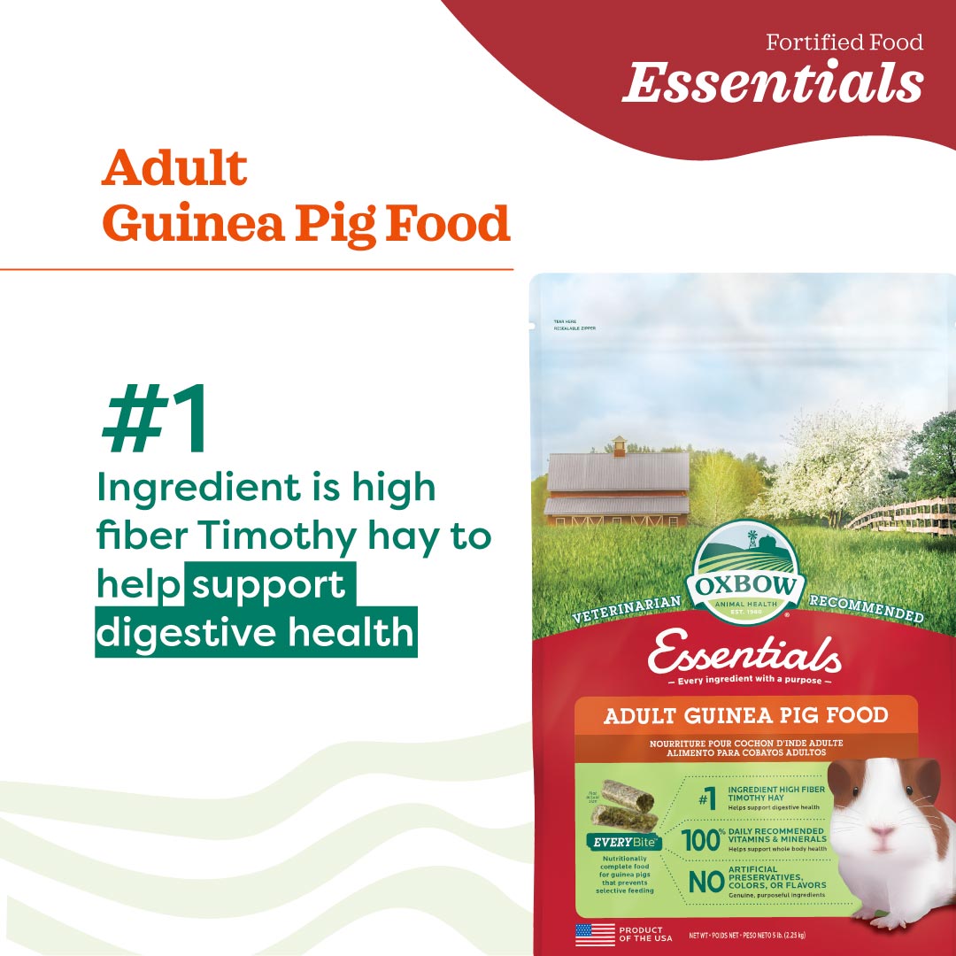 [Up to 25% off] Oxbow Essentials Adult Guinea Pig Food