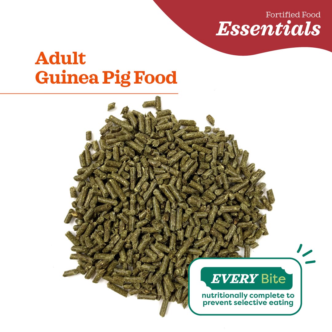 [Up to 25% off] Oxbow Essentials Adult Guinea Pig Food