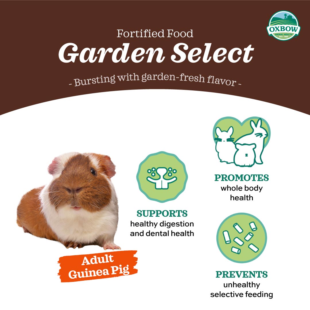 [Up to 25% off] Oxbow Garden Select Adult Guinea Pig Food