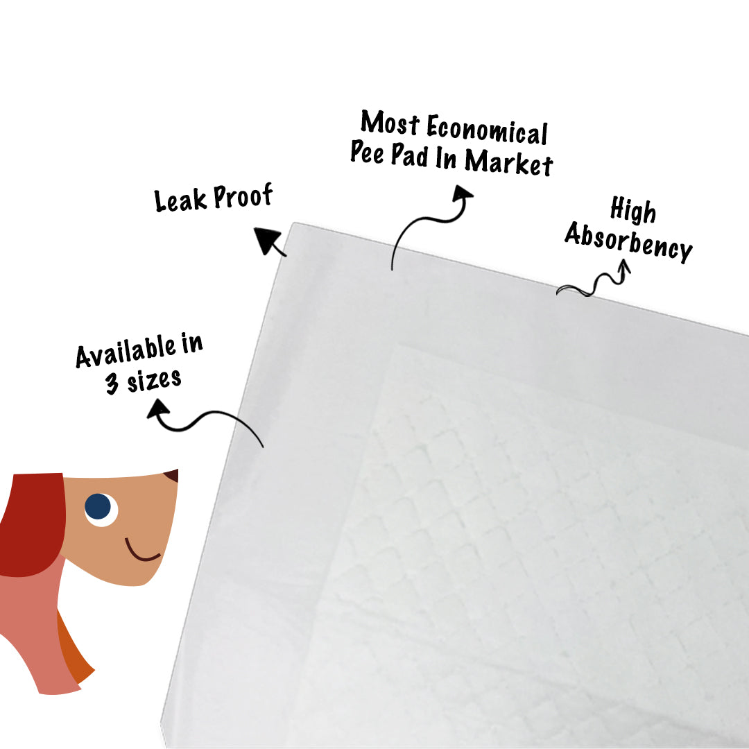 Cocoyo Pee Pads Small 33×45cm (100pcs) – Leak-Proof, Anti-Bacterial & Ultra Absorbent