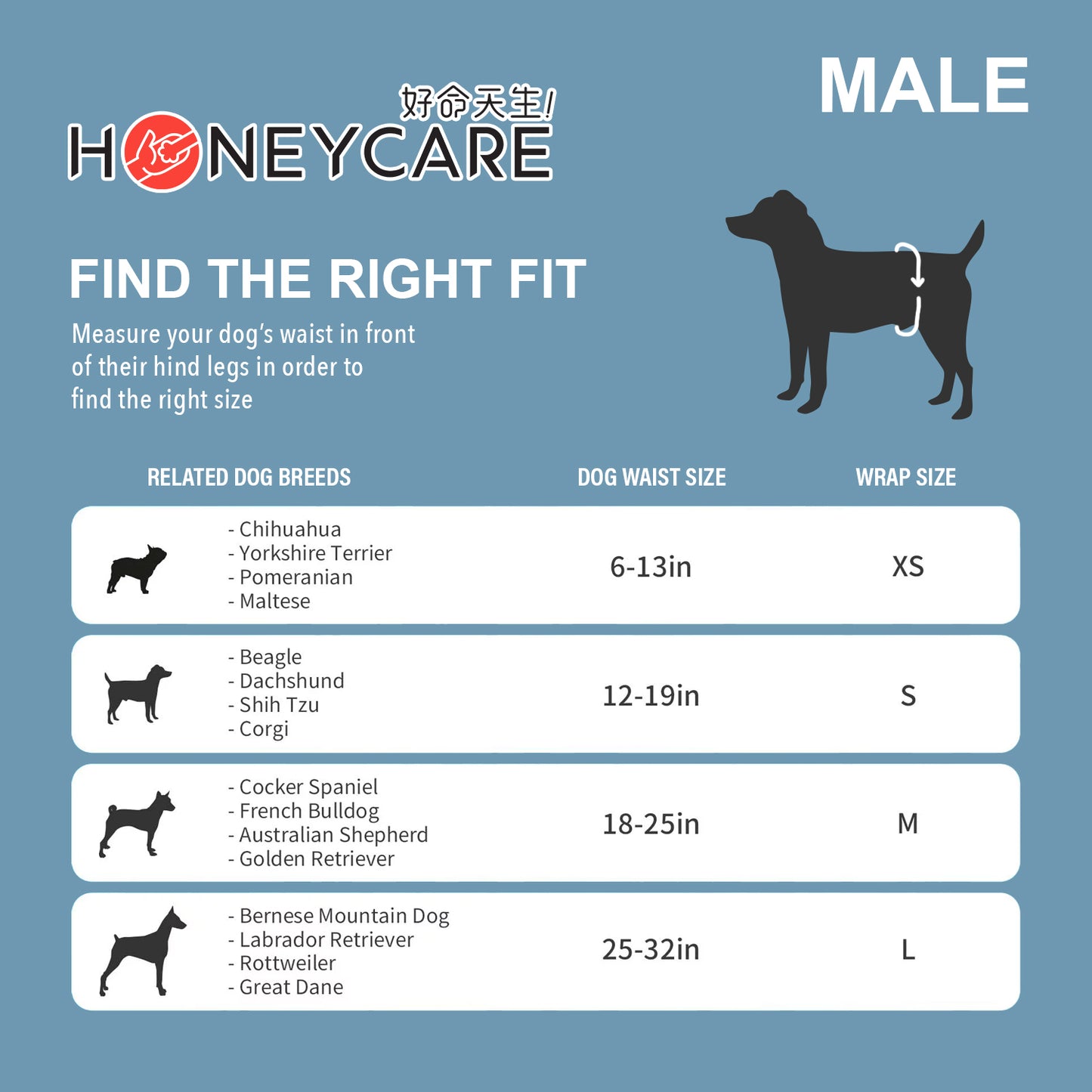 Honey Care Male Dog Diapers – Secure Fit, Odour-Blocking -10pcs x 2pack