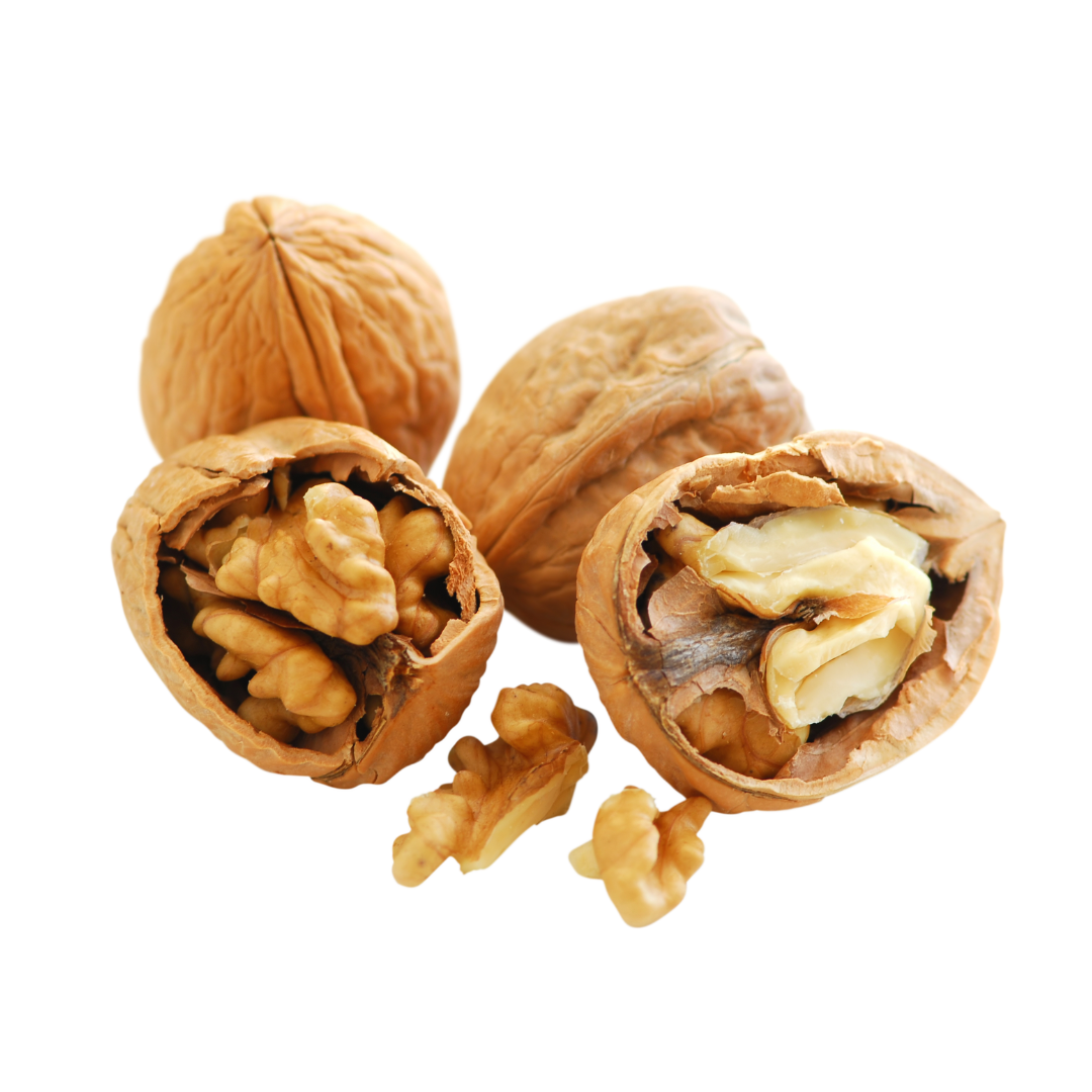 Munchies Raw Shelled Walnut 200g – Human Grade Enrichment Treat
