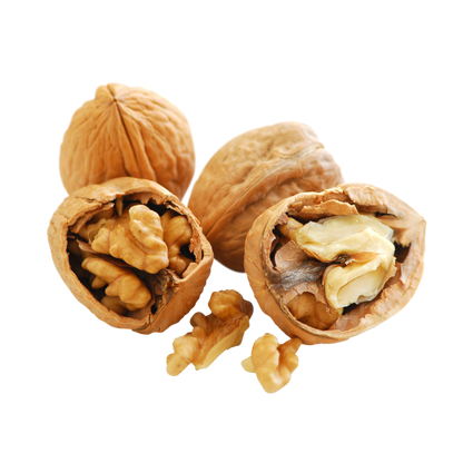 Munchies Raw Shelled Walnut 200g – Human Grade Enrichment Treat