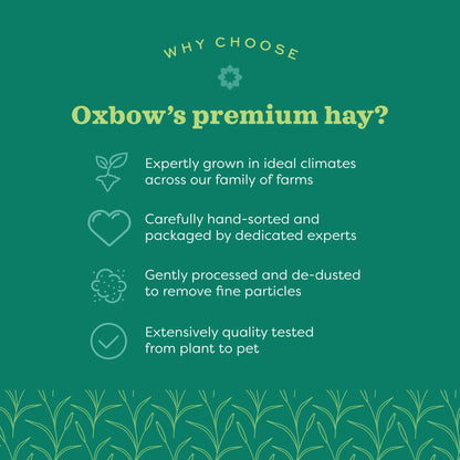 Oxbow Prime Cut Hearty & Crunchy Hay for Small Pets