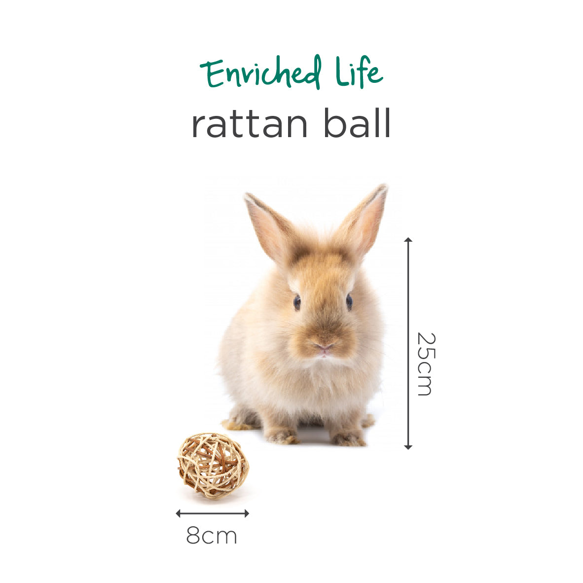 Oxbow Enriched Life Rattan Ball for Small Pets