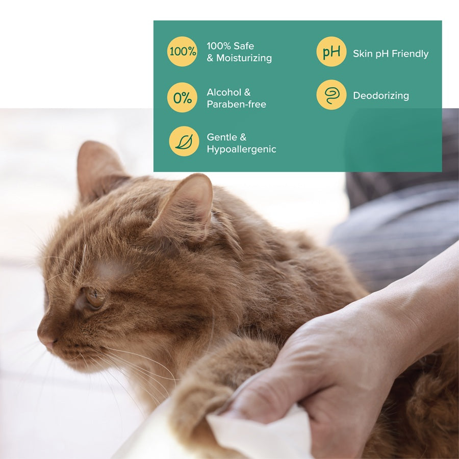 Nurture Pro AG+ Silver Pet Wipes Coconut (100 Sheets) - 6pack